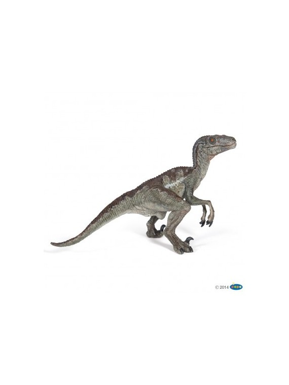 Vélociraptor