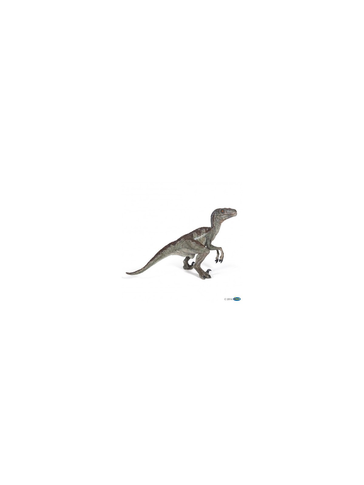 Vélociraptor
