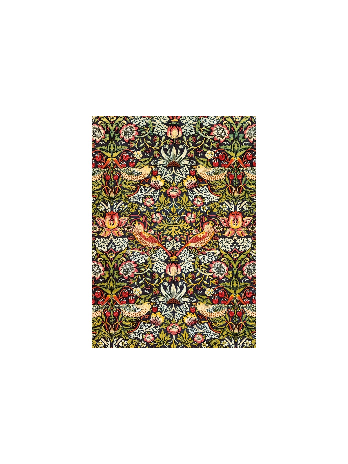 MORRIS - VOLEURS DE FRAISES