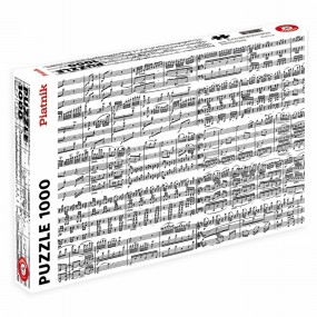 NOTES DE MUSIQUE