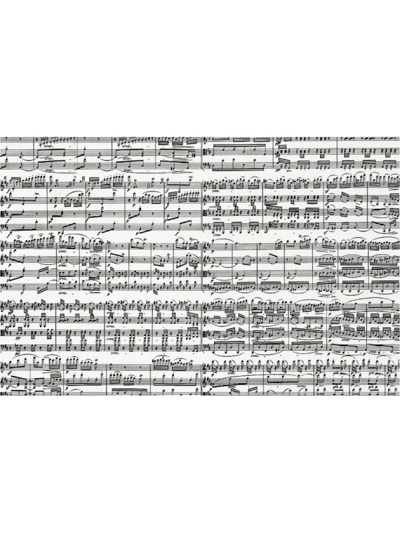 NOTES DE MUSIQUE
