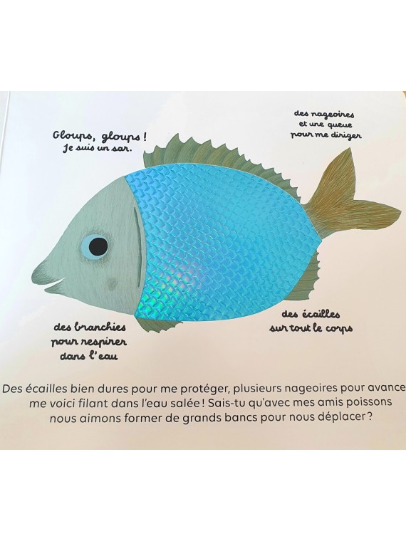 Les animaux des mers à toucher- Editions Milan