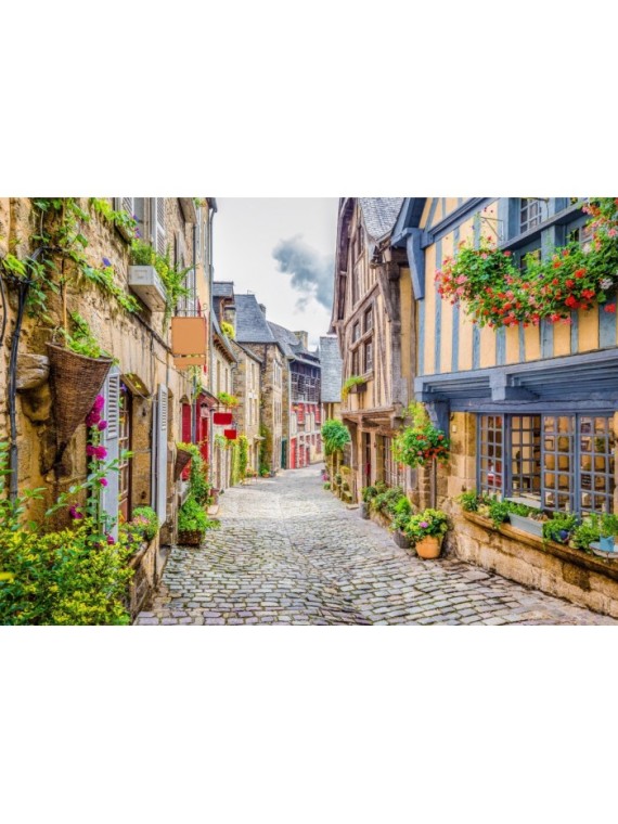 Old City puzzle 1000 pieces