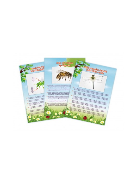 Aspirateur d'Insectes