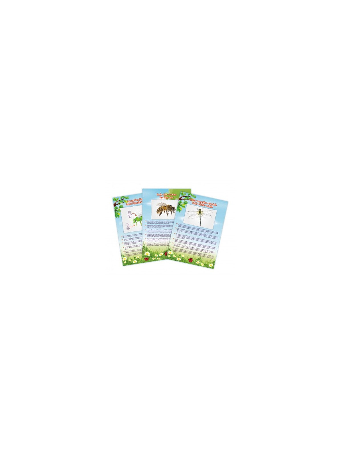 Aspirateur d'Insectes