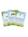 Aspirateur d'Insectes