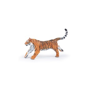 Tigre courant