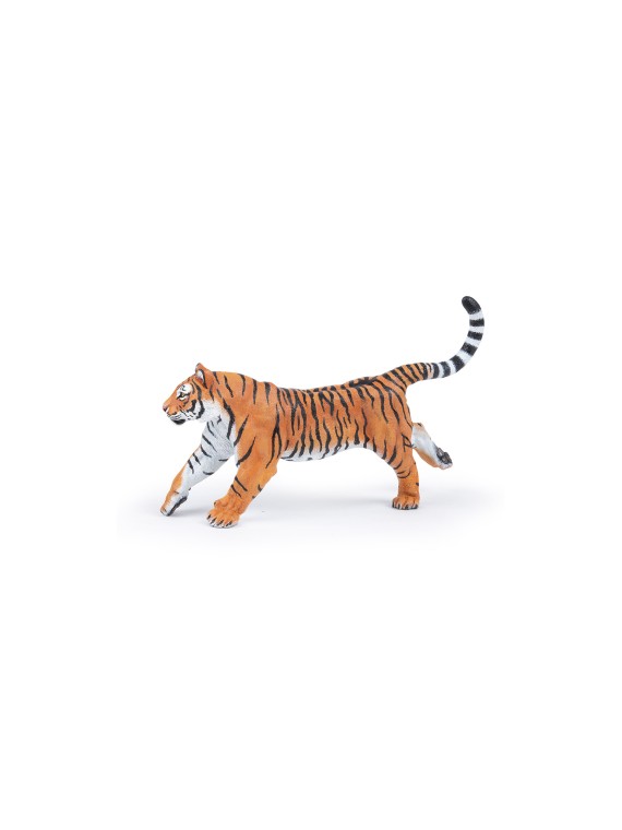 Tigre courant