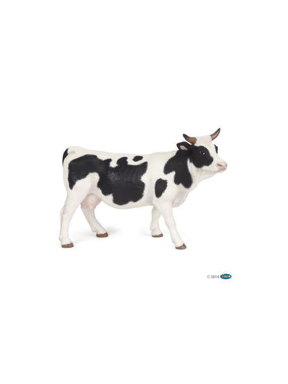 Vache noire et blanche