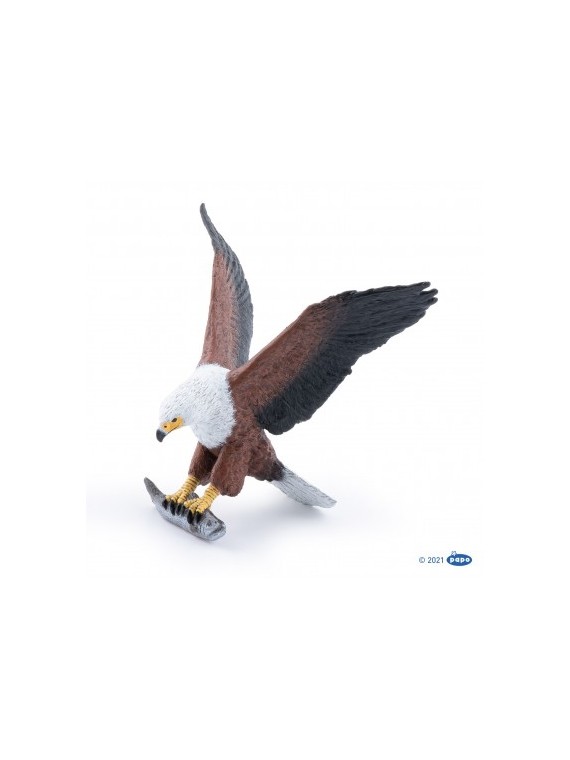 Aigle pêcheur d'Afrique