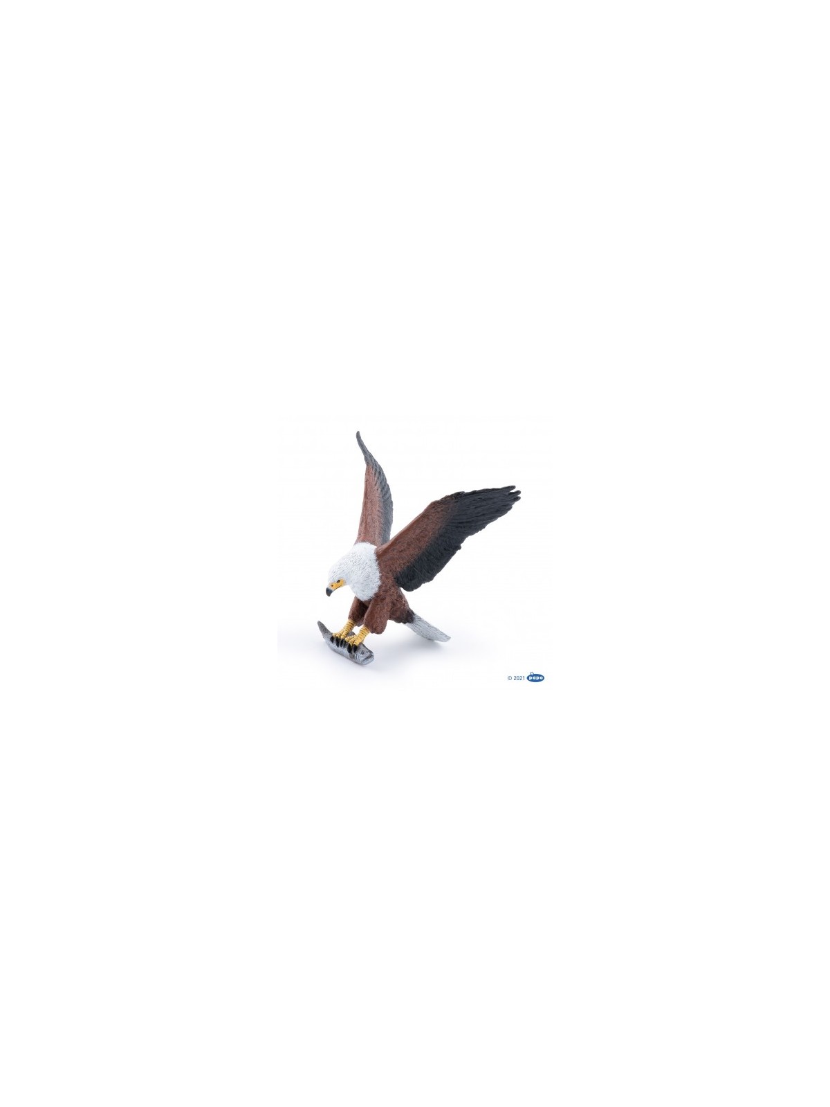 Aigle pêcheur d'Afrique