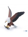 Aigle pêcheur d'Afrique
