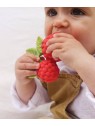  la framboise pour bébé - Oli & Carol