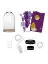 Jeu créatif Janod Magic Fairies Cloche lumineuse à créer