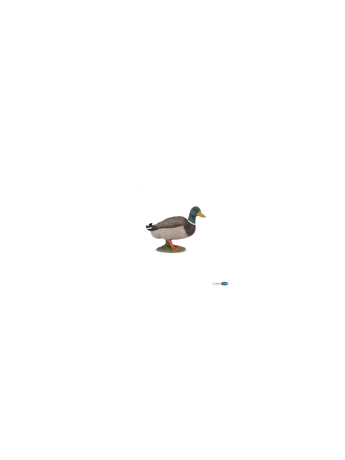 Canard colvert