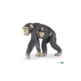 Chimpanzé et son bébé