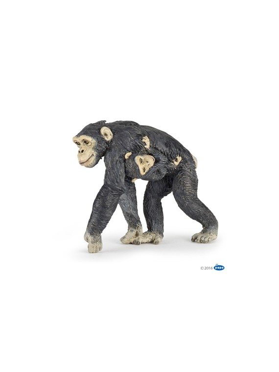Chimpanzé et son bébé