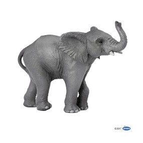 Jeune éléphant