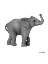Jeune éléphant