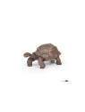 Tortur des galapagos