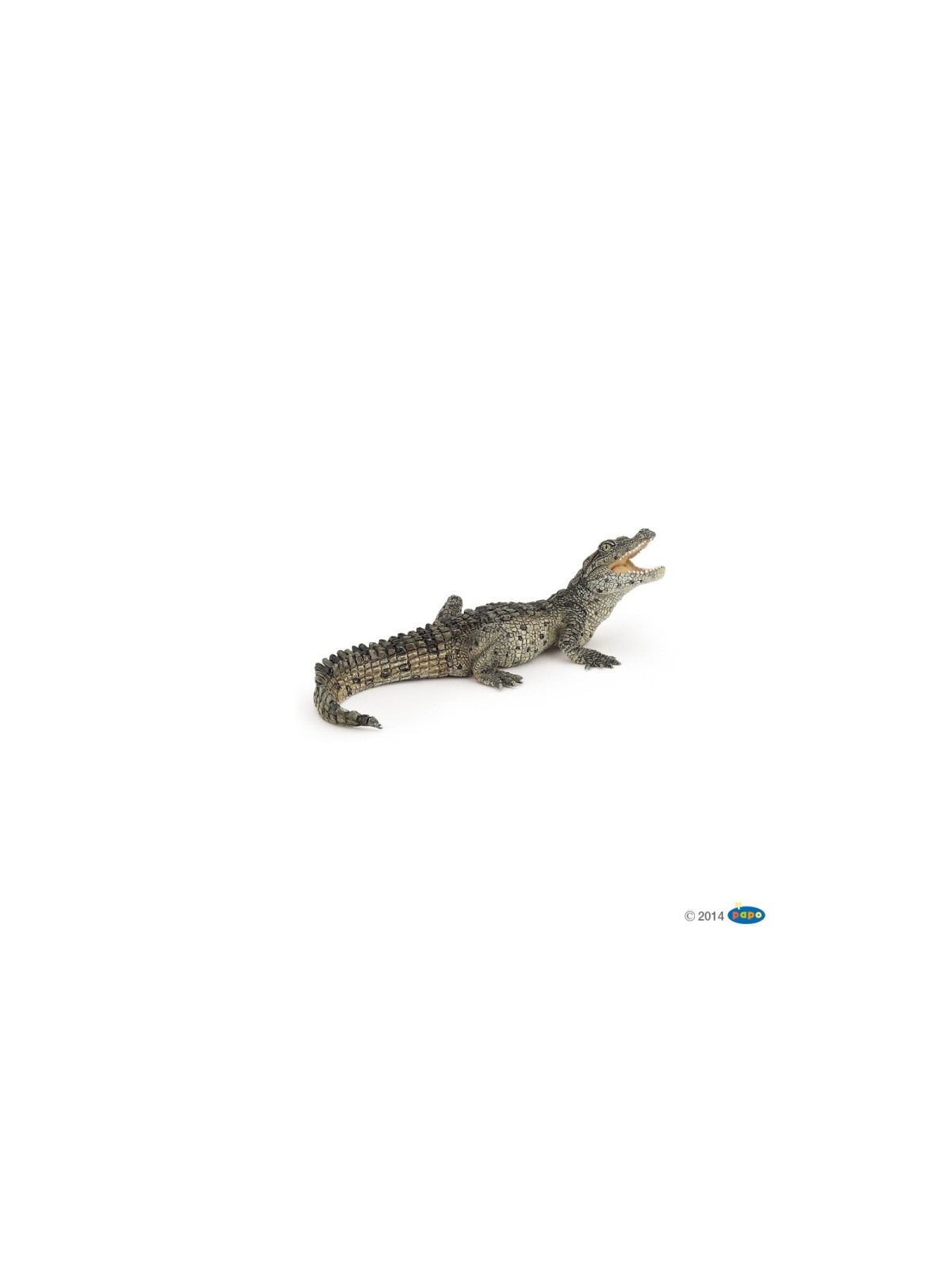 Bebe crocodile