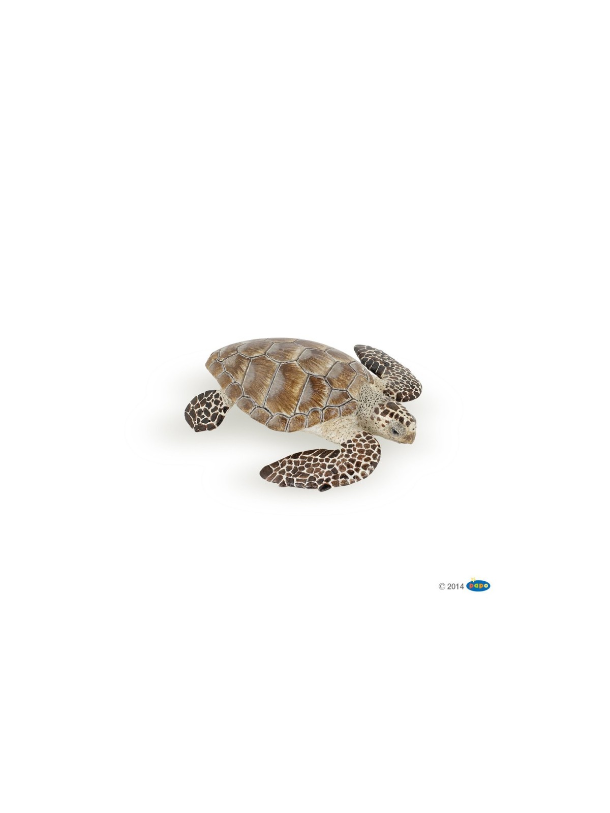 Tortue caouanne