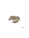 Tortue caouanne