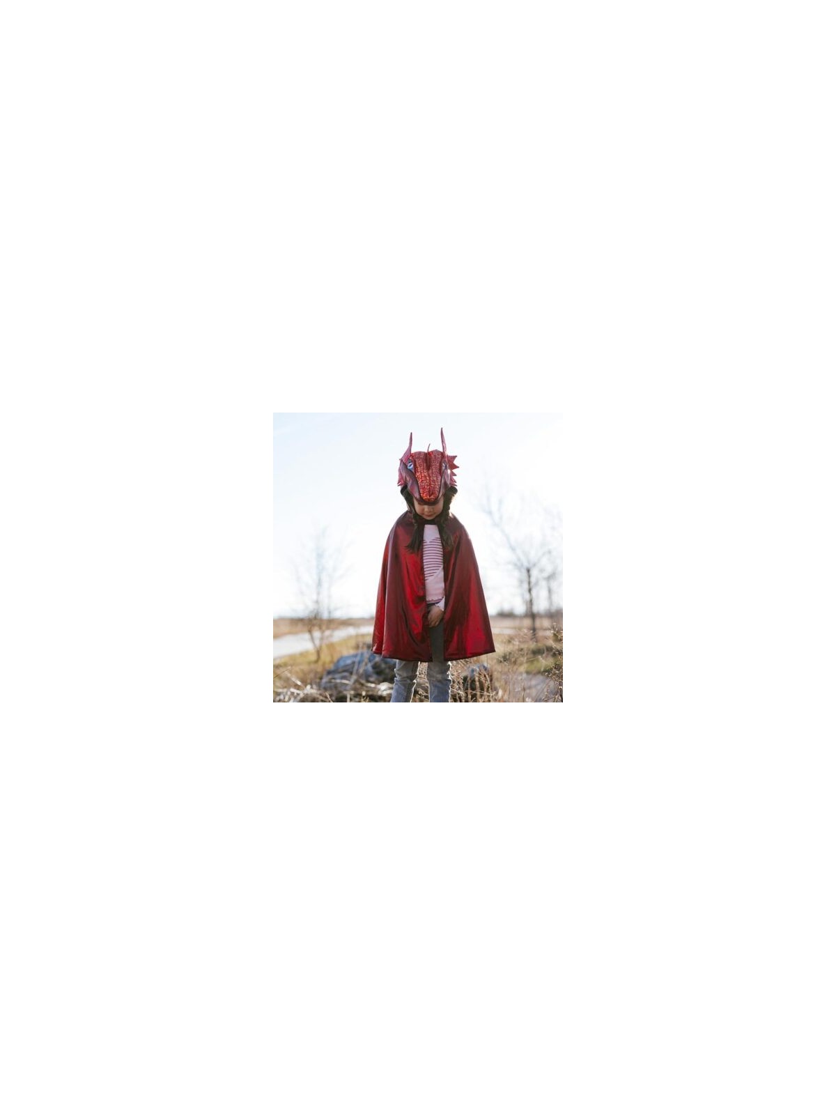 Rubis Dragon métallisé 3-4 ans