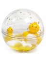 Bulle de Bain - Canards