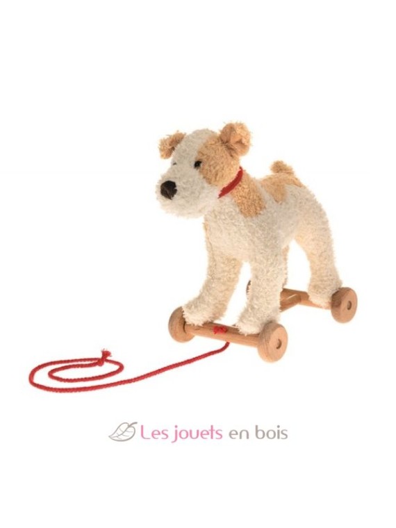 Eliot le chien à tirer