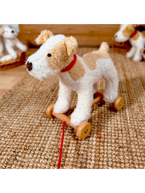 Eliot le chien à tirer