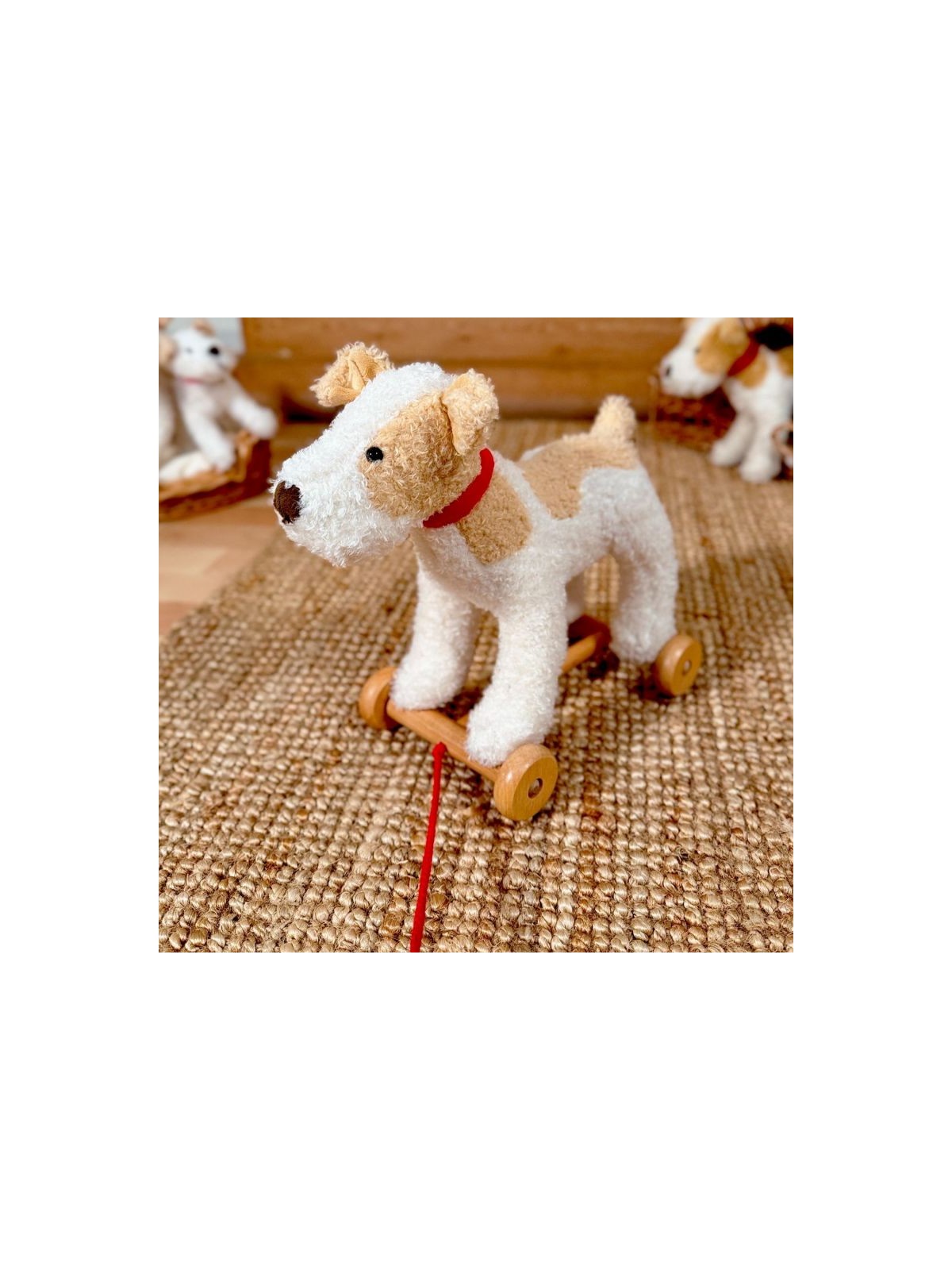 Eliot le chien à tirer