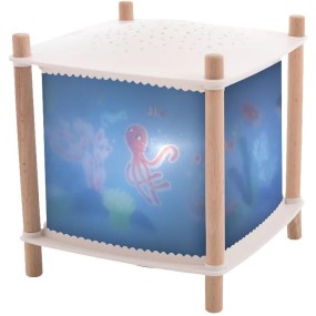 Lanterne magique - Révolution 2.0 Puce et Pilou