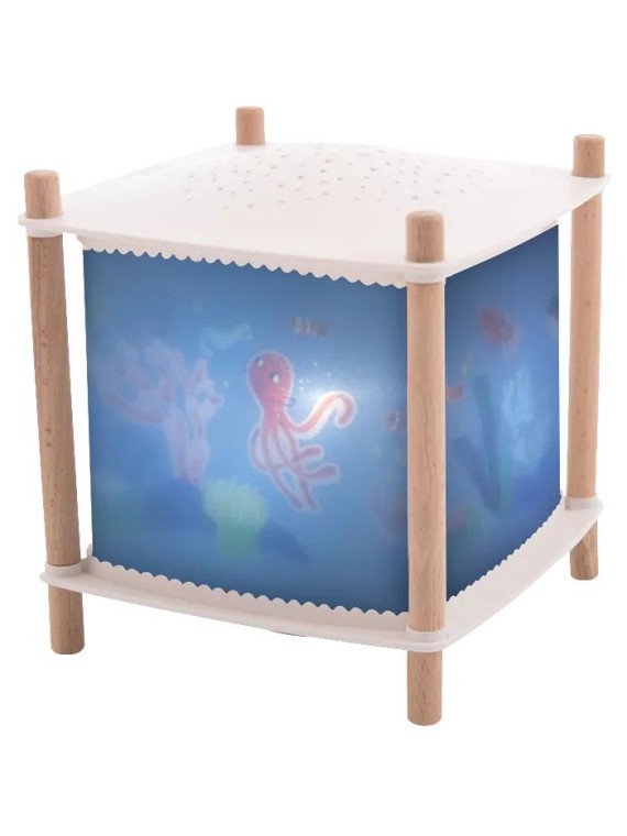 Lanterne magique - Révolution 2.0 Puce et Pilou