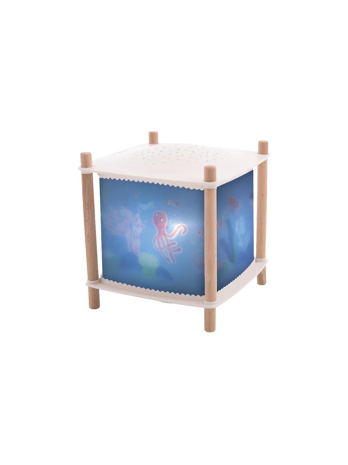 Lanterne magique - Révolution 2.0 Puce et Pilou