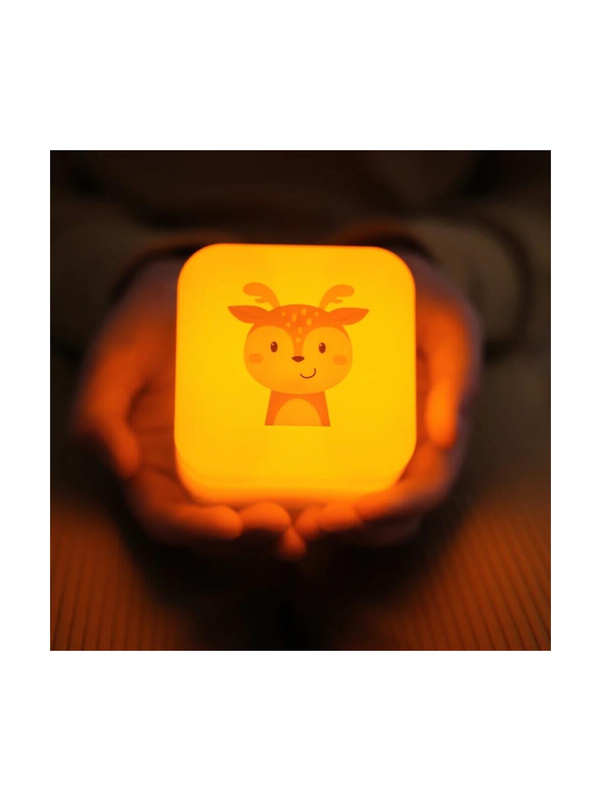 Cube B - Finley le Faon