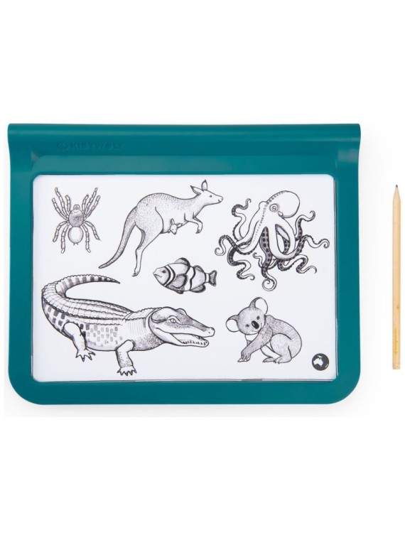 Tablette lumineuse à dessin Kidywolf x Moulin Roty